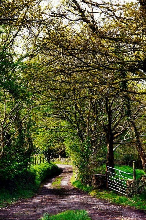 Cilhendre Holiday Cottages - The Dairy สวอนซี ภายนอก รูปภาพ